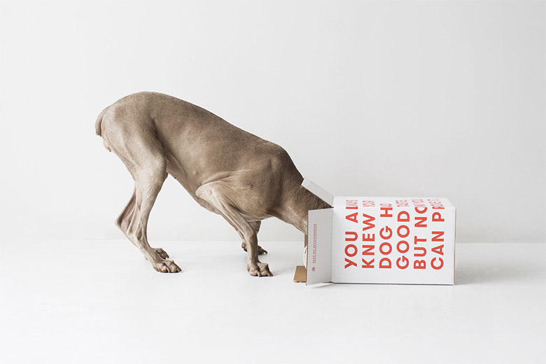 宠物食品公司Ollie全新品牌形象设计