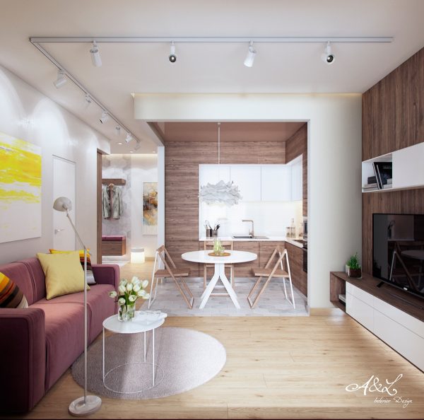 5个紧凑舒适的小公寓设计