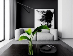 4個極簡主義黑白公寓空間設計