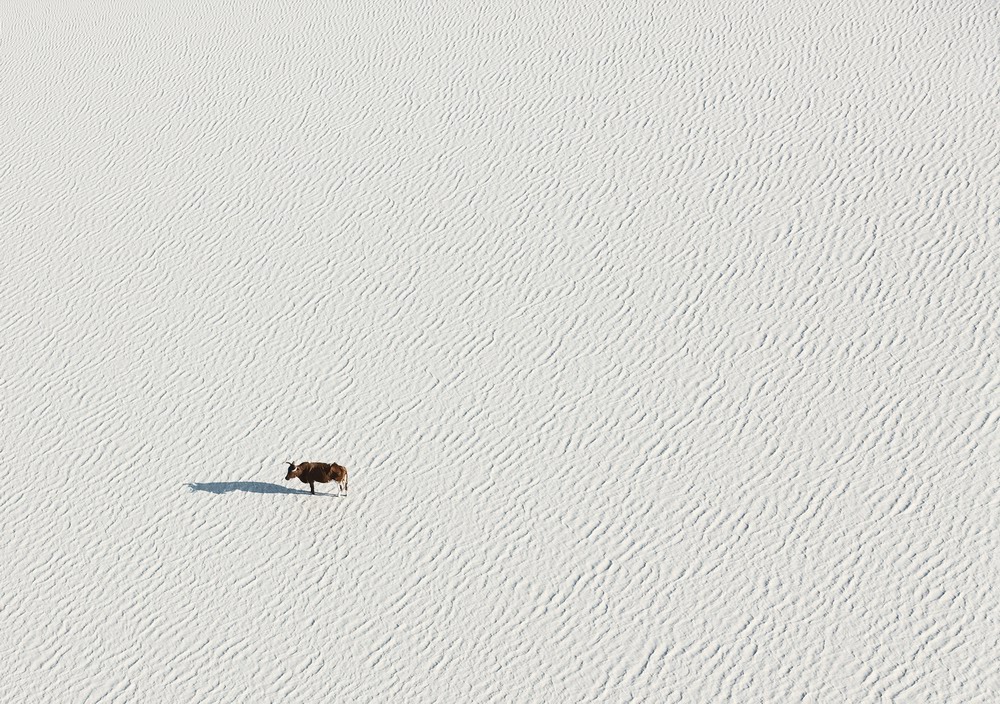 150米高空拍摄的博茨瓦纳神奇美景