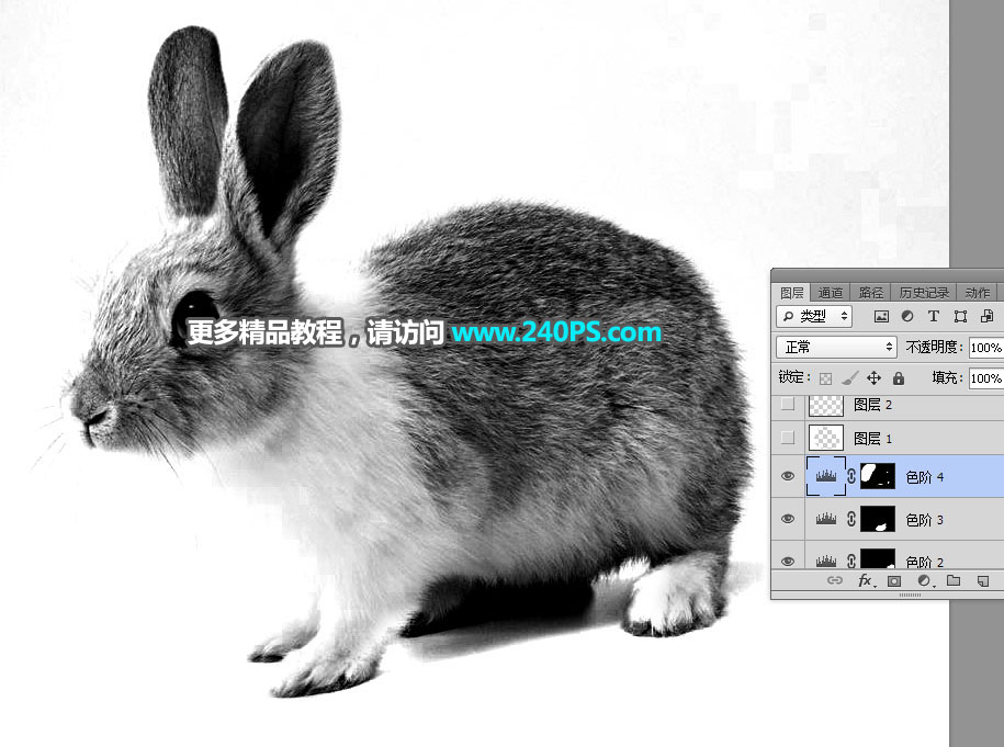 PS通道及钢笔工具抠出白褐相间的兔子