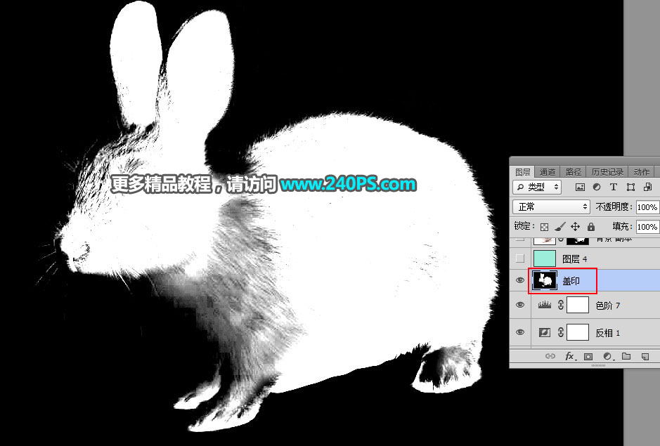 PS通道及钢笔工具抠出白褐相间的兔子