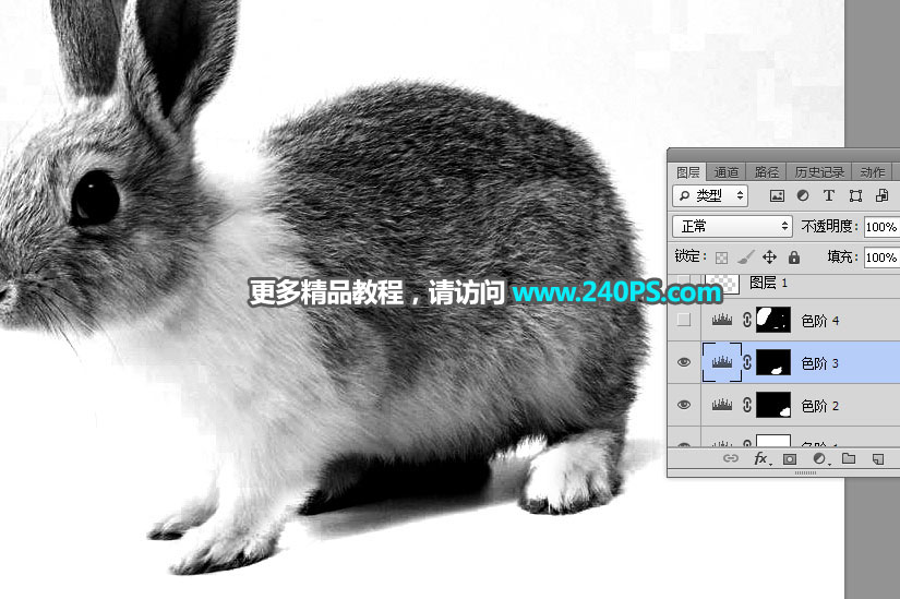 PS通道及钢笔工具抠出白褐相间的兔子