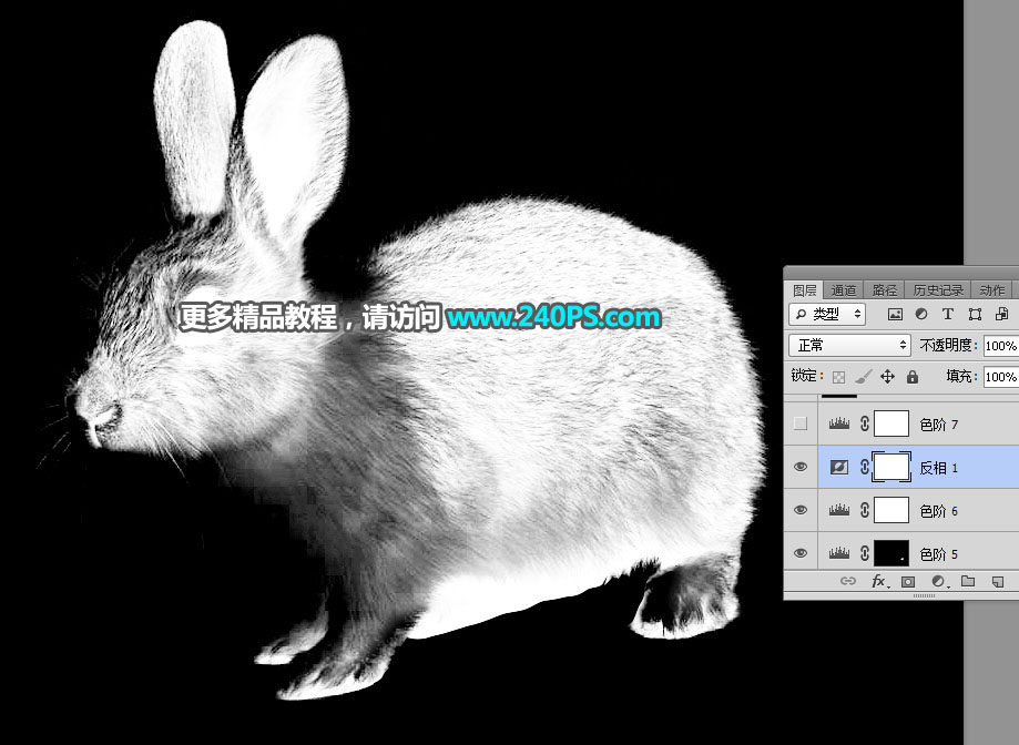 PS通道及钢笔工具抠出白褐相间的兔子