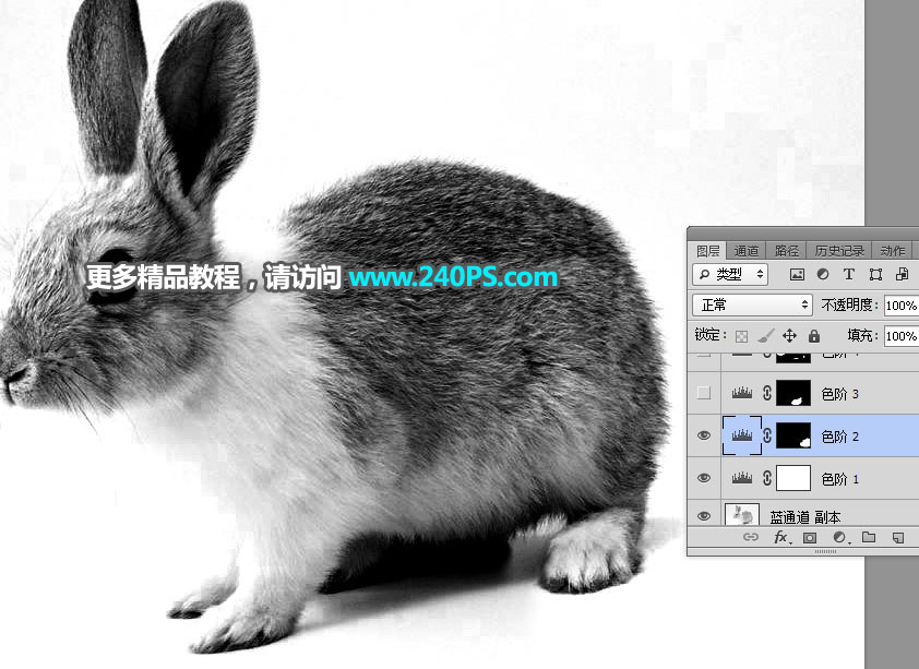 PS通道及钢笔工具抠出白褐相间的兔子