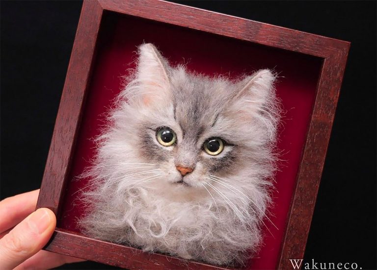 Wakuneco可爱迷人的3D猫咪肖像