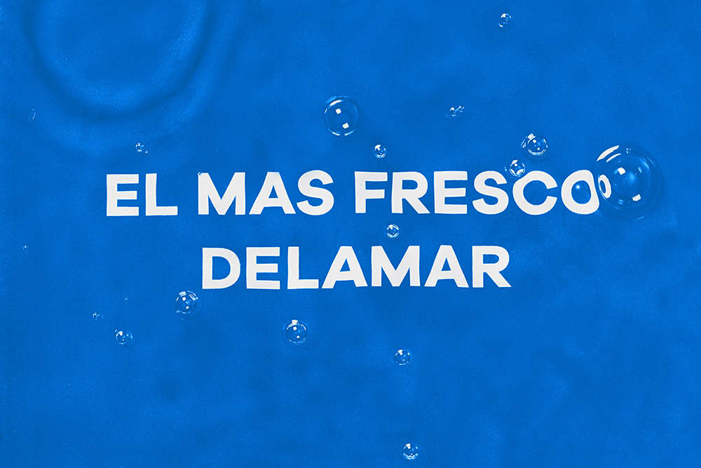 海产公司Delamar品牌形象设计