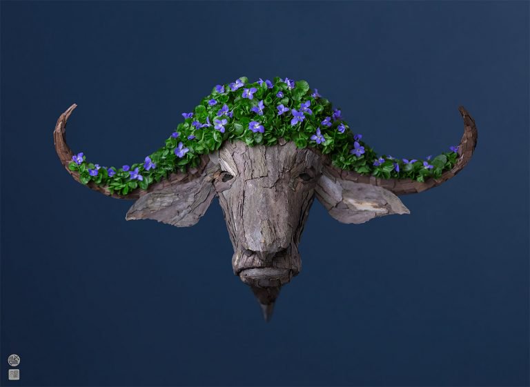 日本艺术家RakuInoue用花瓣、植物构造一个动物世界