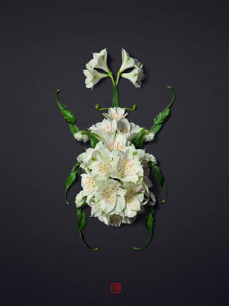 日本艺术家RakuInoue用花瓣、植物构造一个动物世界