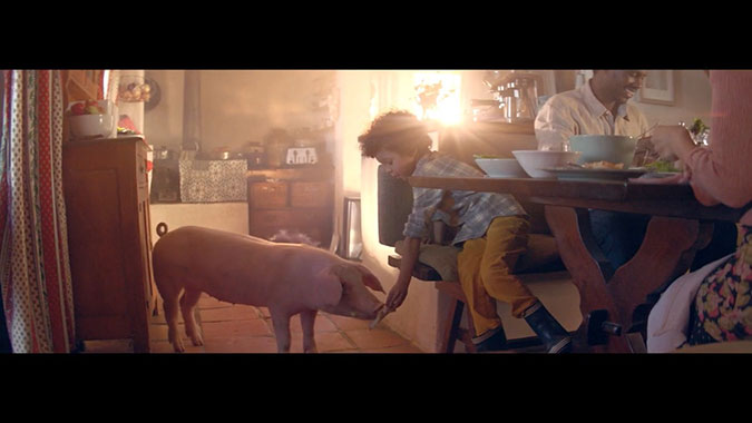 亞馬遜智能音響Alexa創意廣告 寵物豬