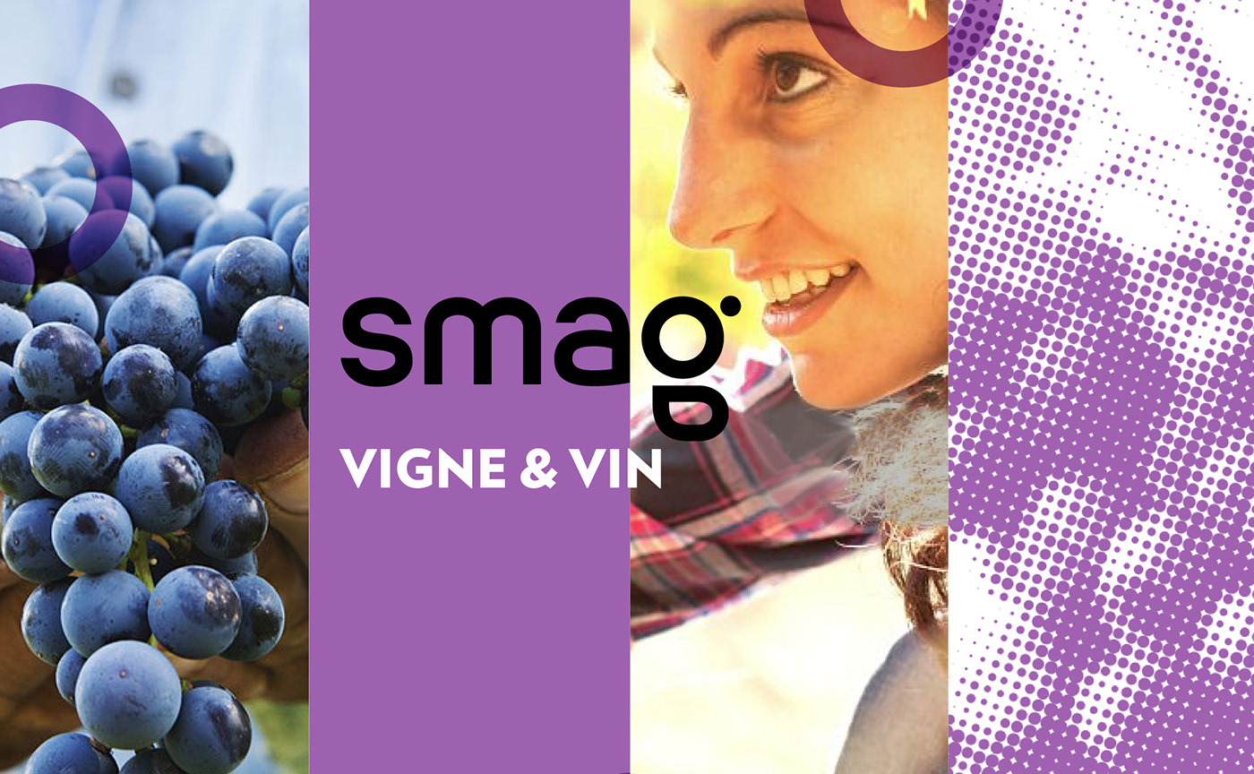 农业智能化品牌SMAG形象视觉设计
