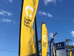 Cardiff Motor Group品牌视觉设计