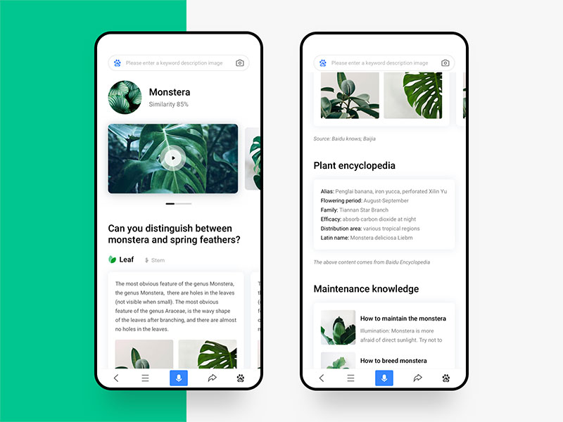 绿植app界面UI设计欣赏