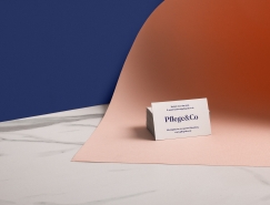 保险公司Pflege&Co品牌识别设计