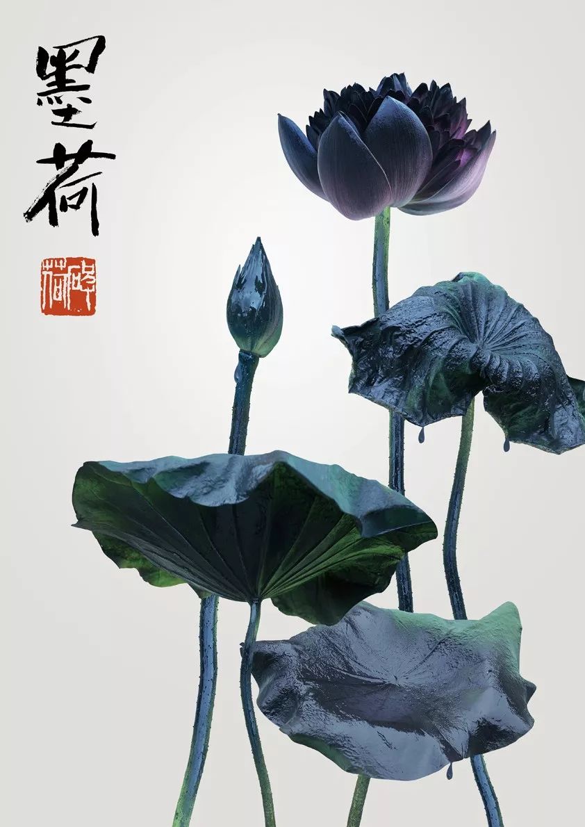 2019台湾国际平面设计奖获奖作品(海报奖-A类)