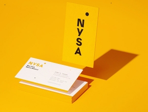 纽约航天联盟NSYA品牌视觉设计