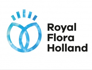 荷兰鲜花交易网站FloraHolland品牌形象设计