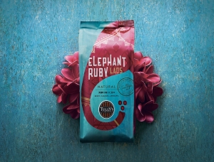 南亚风情的大象插画 日本tully’s coffee咖啡包装