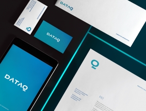 数据分析平台DATAQ品牌形象设计