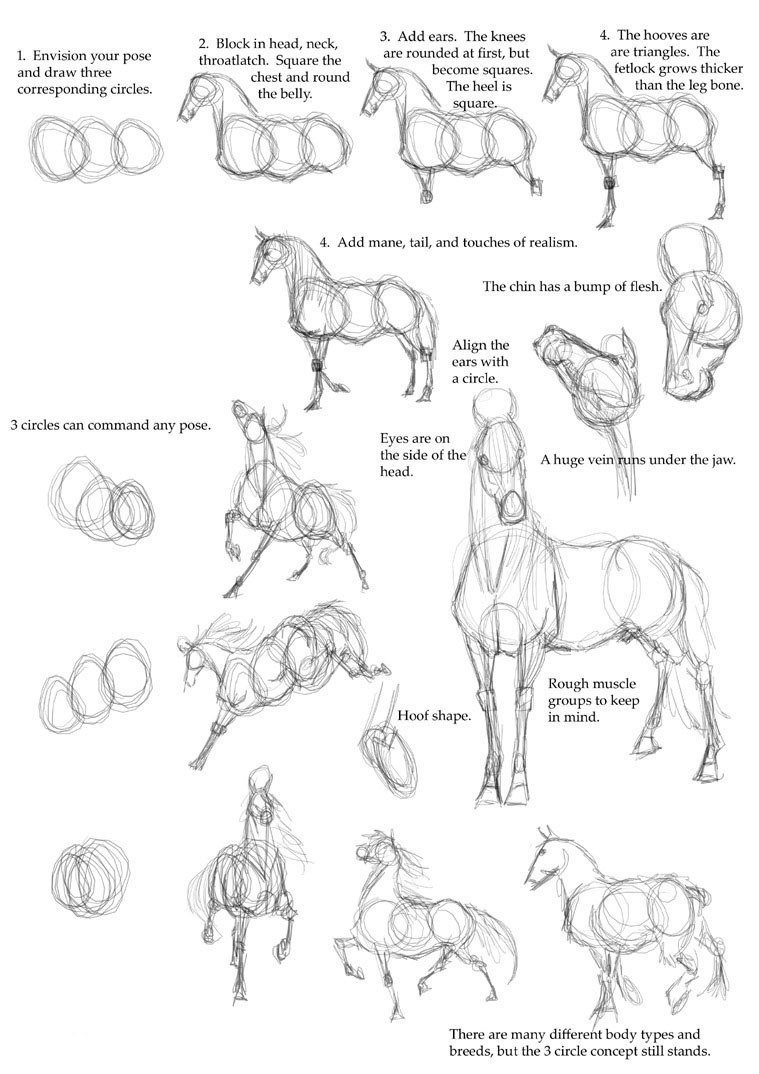 激发您的灵感 如何绘制动物素描画
