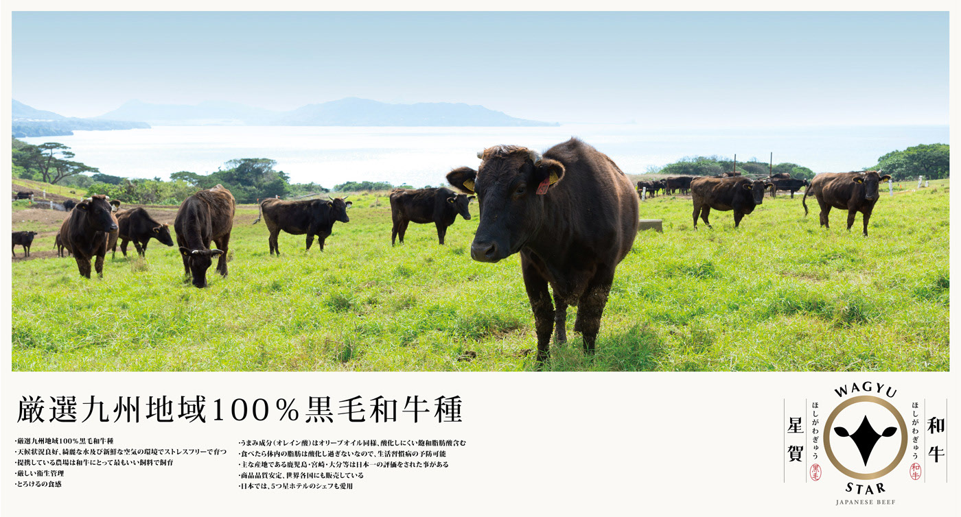 「星贺和牛」品牌识别形象设计