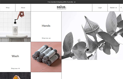 salus美容護膚在線商城網站設計