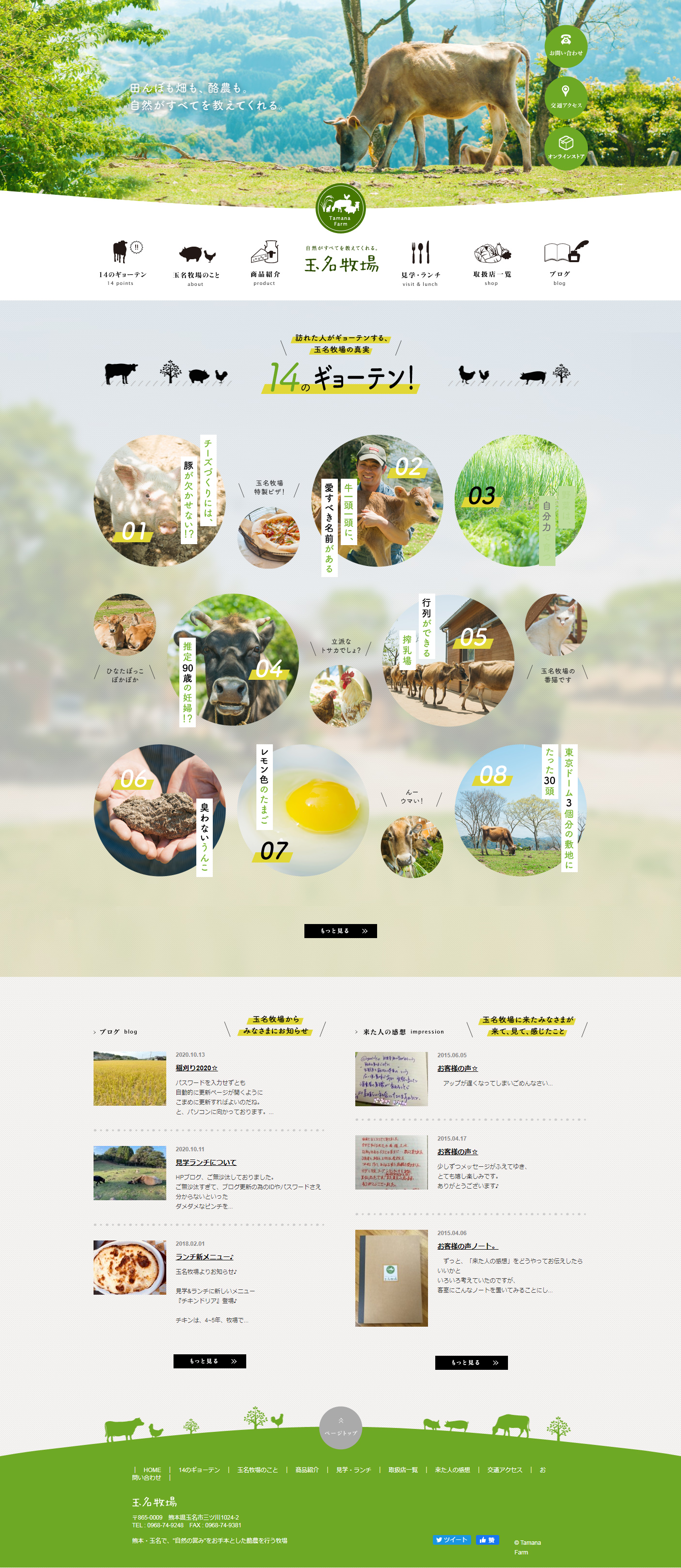 日本玉名牧场网站设计