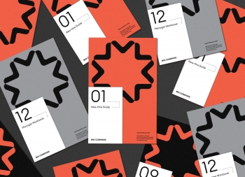 数据集成商Big Compass品牌形象设计