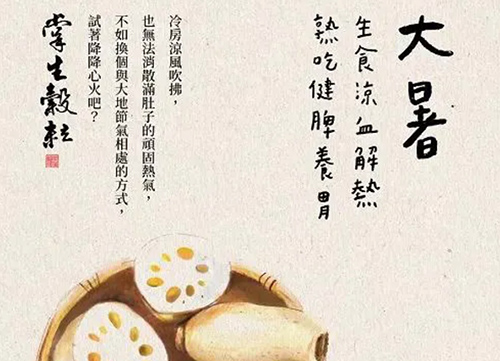 台灣掌生穀粒：24節氣海報設計