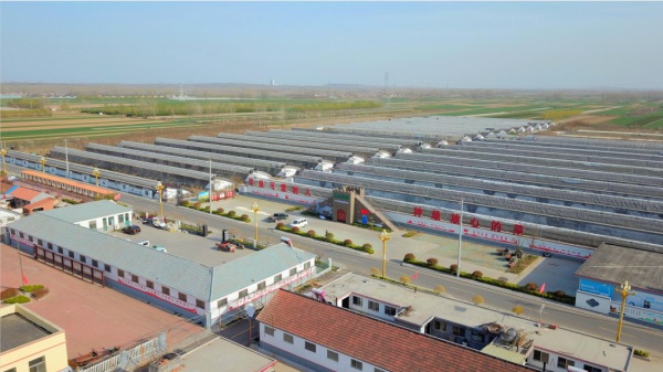 第一届印迹乡村创意设计大赛总预选赛将于10月在青岛举行