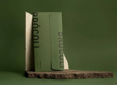 Brocoli咨询公司品牌视觉设计