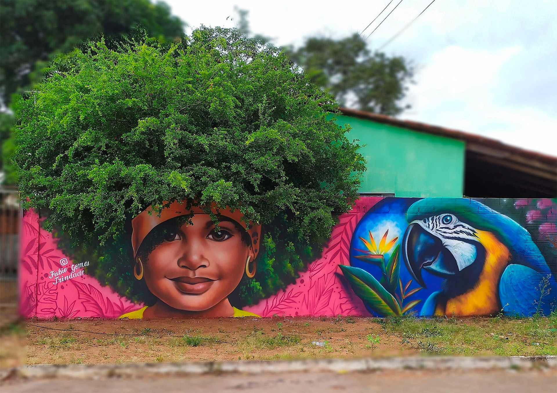 以树木作为头发！Fábio Gomes Trindade想象力丰富的街头壁画作品