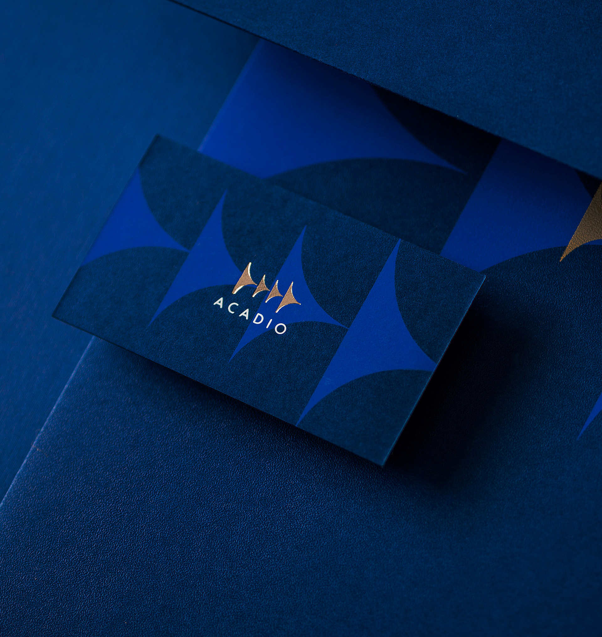 国际贸易公司Acadio品牌视觉设计