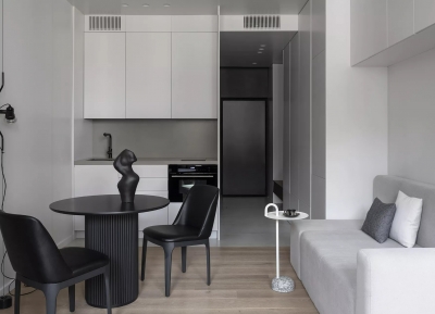功能性和舒適性兼顧！30平米一居室簡約小公寓