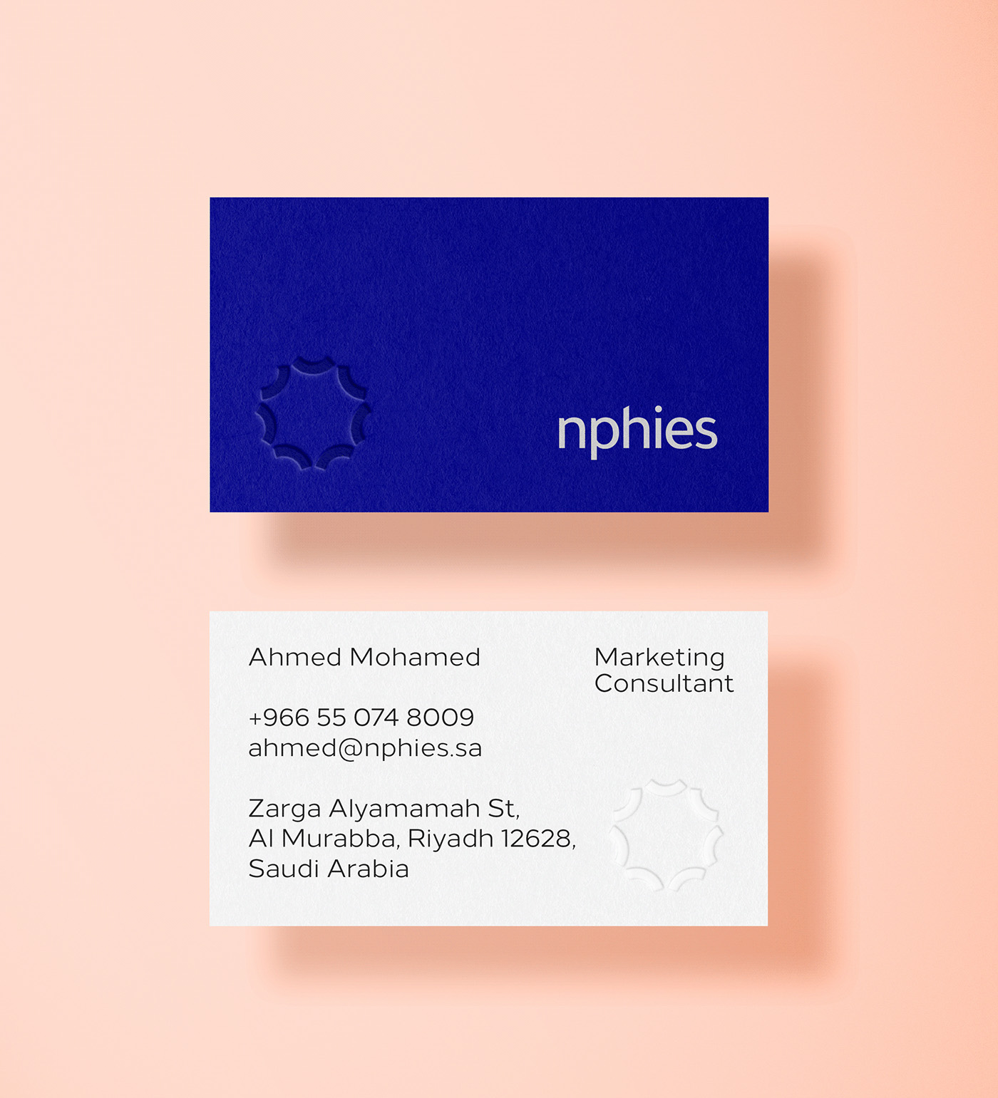 Nphies数字健康平台视觉形象设计