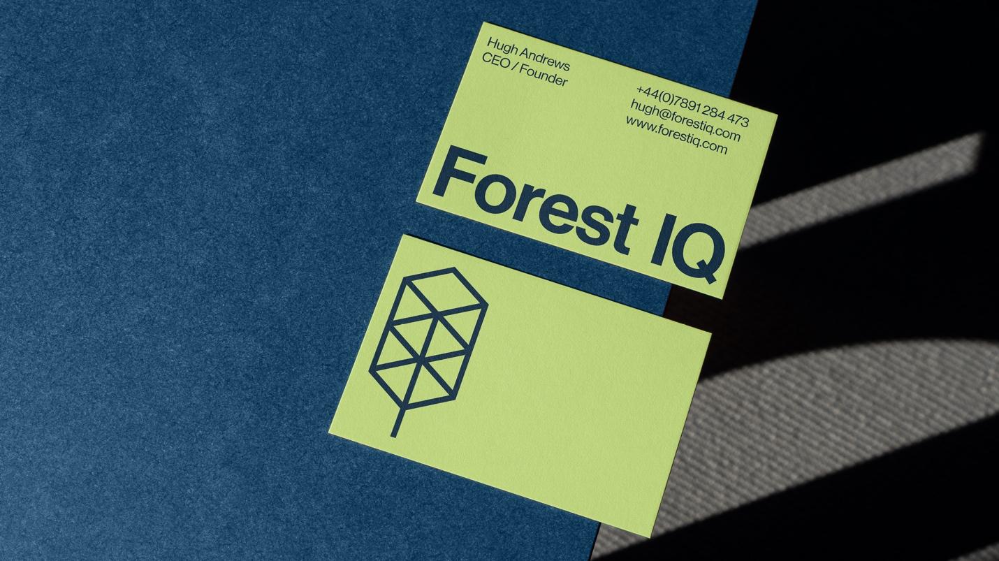 保护林创新技术平台Forest IQ视觉形象设计