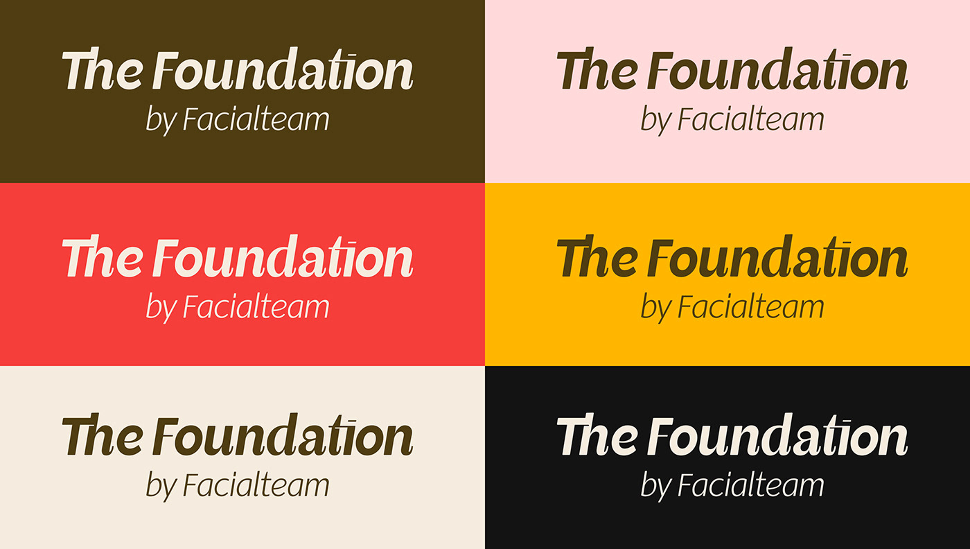 Facialteam基金会品牌视觉设计