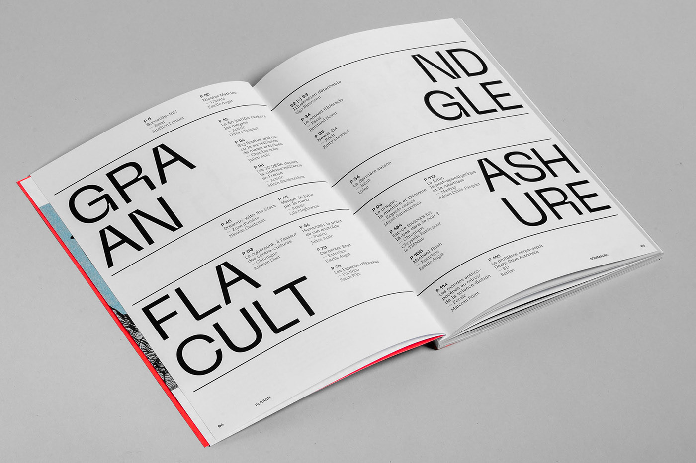 FLAASH杂志极简风格排版设计