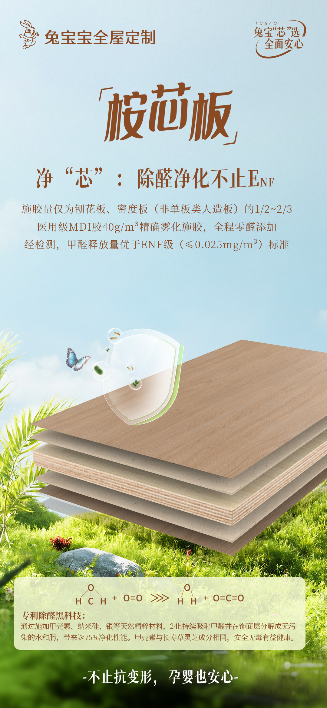 淨芯.png