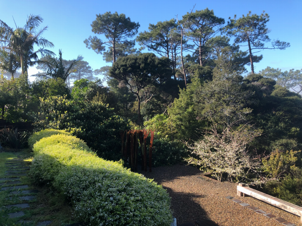 泊于林海的永恒之舟  艺术家晨晓的新西兰自然主义建筑宣言