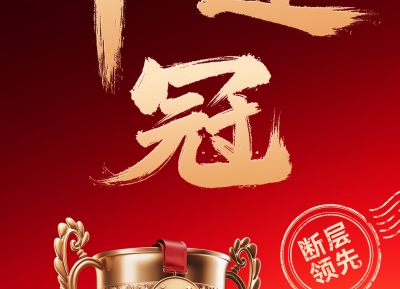 德施曼双11斩获十连冠，多款爆品断层优势再升级，以高端价值彰显绝对领导力