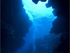 水中使用广角摄影