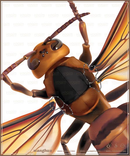 Illustrator网格实战：绘制真实的黄蜂