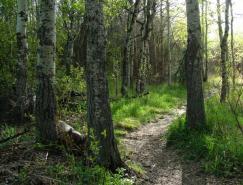 秋天色彩一步调色