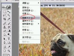 PS基础教程:&nbsp;大图片缩小减肥