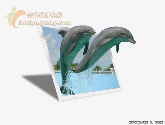 Photoshop制作跃出照片的海豚特效