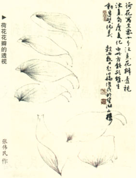 张伟民---中国工笔花鸟画技法