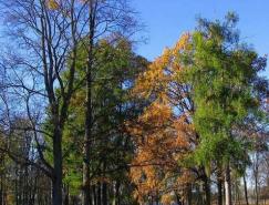 Photoshop将照片处理为局部黑白效果