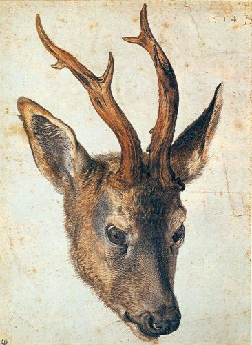 德国绘画大师:阿尔布雷特·丢勒Albrecht Durer