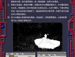 Photoshop调色系列教程(三)